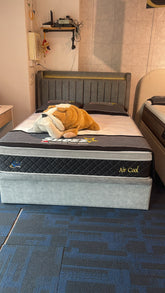 Queen Size Storage Bedframe | Display Clearance | 1 Pc Only | $699 Nett