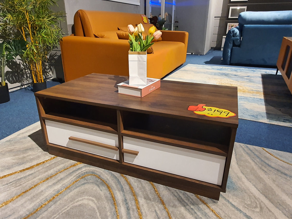 Coffee Table #8 | Display Clearance (1 Pc Only)