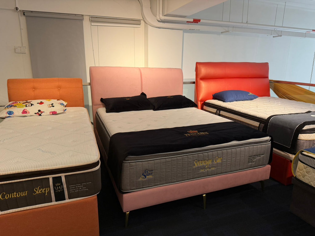 Queen Size Divan Bedframe | Display Clearance | 1 Pc Only | $188 Nett