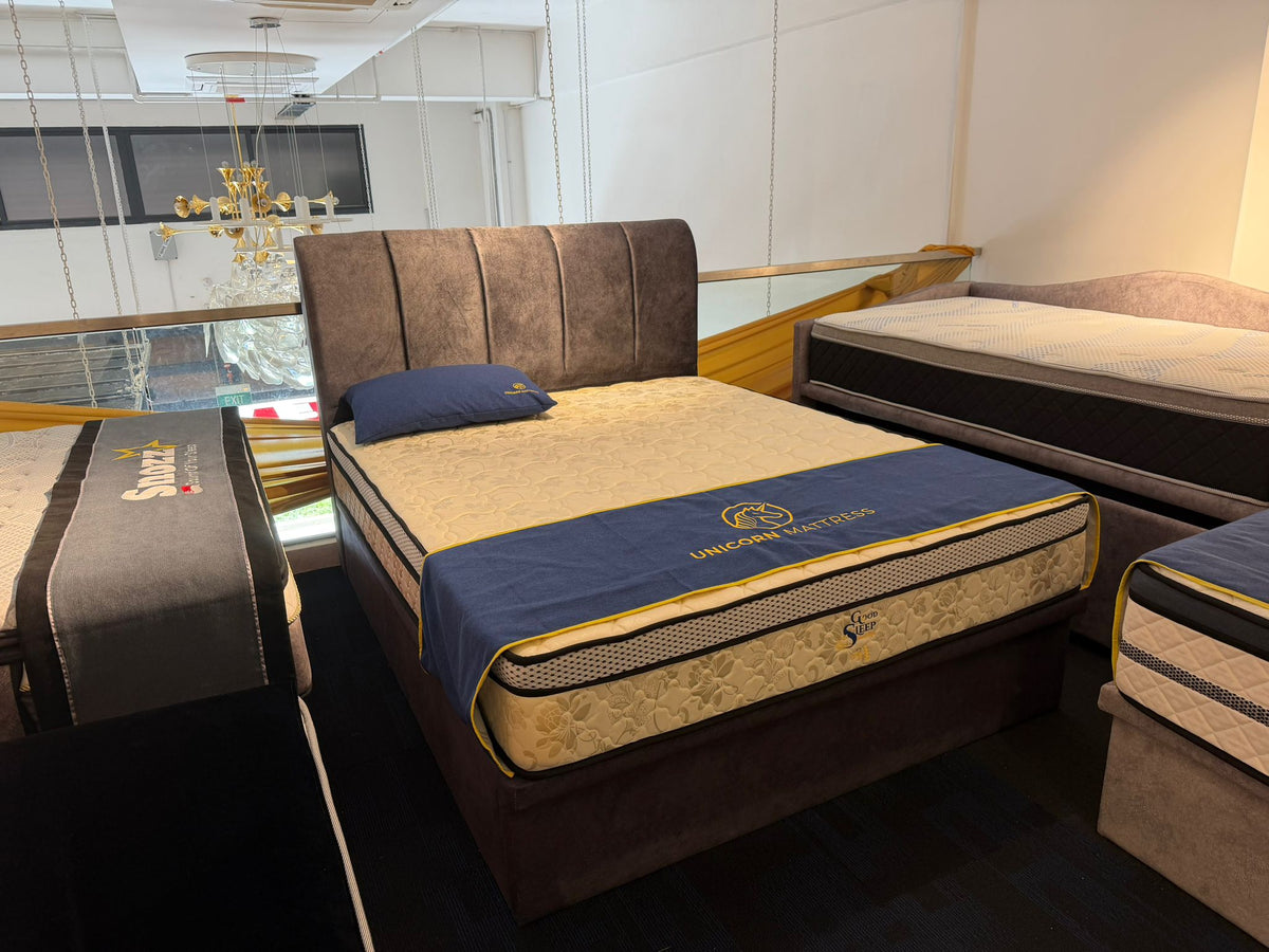 Queen Size Storage Bedframe | Display Clearance | 1 Pc Only | $299 Nett
